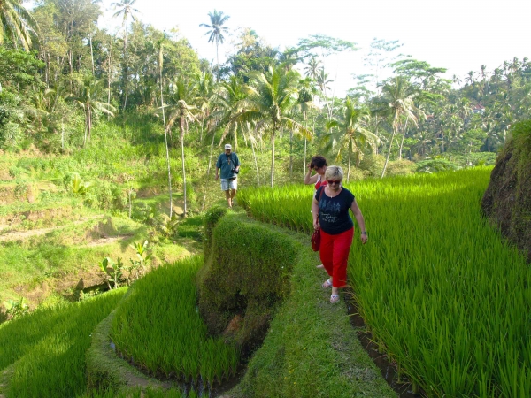 Zdjęcie z Indonezji - Nasiakniete woda, 