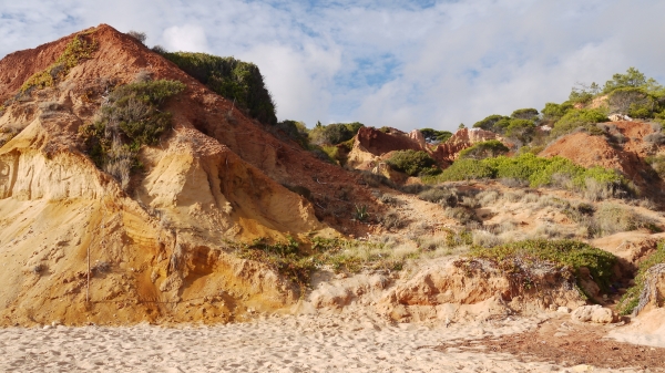 Zdjęcie z Portugalii - Albufeira
