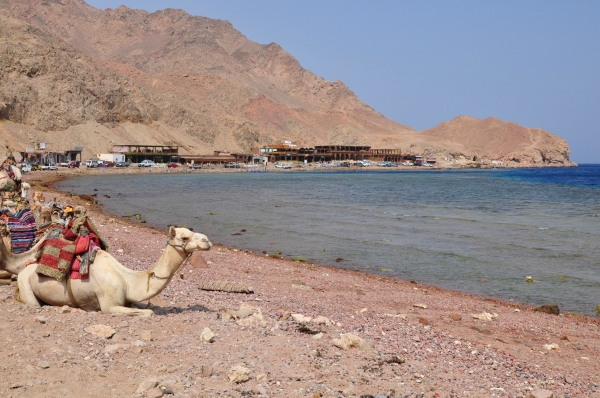 Zdjęcie z Egiptu - Dahab