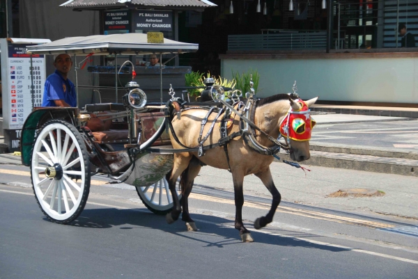 Zdjęcie z Indonezji - Ulica Kuty