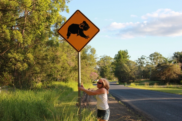 Zdjęcie z Australii - 