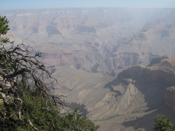 Zdjęcie ze Stanów Zjednoczonych - Grand Canyon