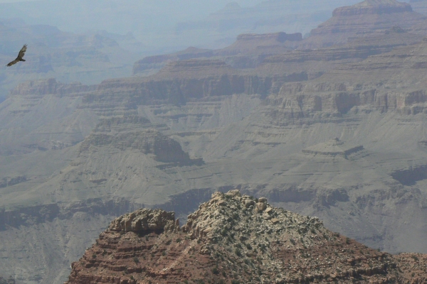 Zdjęcie ze Stanów Zjednoczonych - Grand Canyon