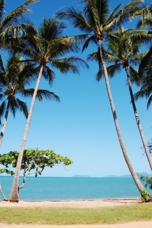 Zdjęcie z Australii - Palm Cove