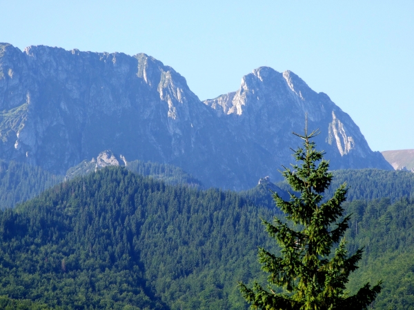 Zdjecie - Polska - Zakopane