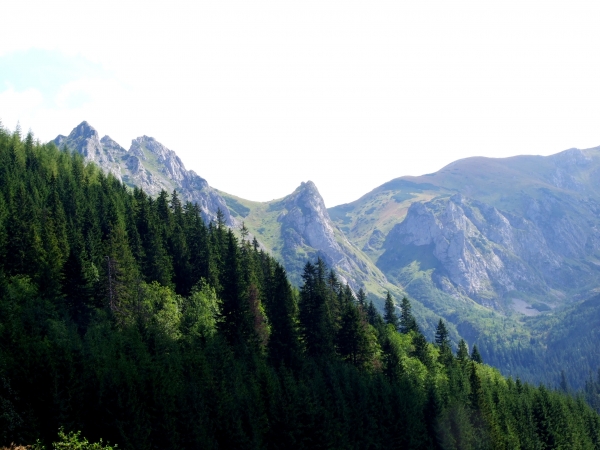 Zdjęcie z Polski - Giewont