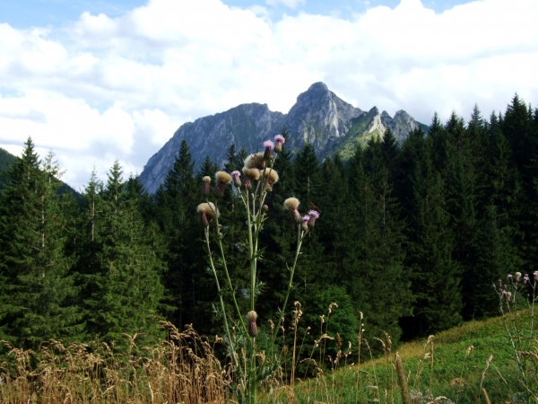 Zdjęcie z Polski - Giewont