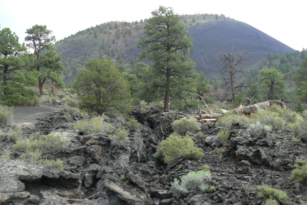 Zdjęcie ze Stanów Zjednoczonych - Sunset Crater