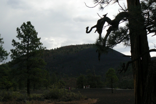 Zdjęcie ze Stanów Zjednoczonych - Sunset Crater
