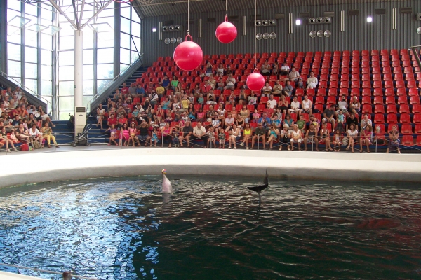Zdjęcie z Bułgarii - Warna Delfinarium