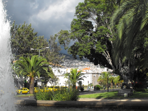 Zdjęcie z Portugalii - Funchal
