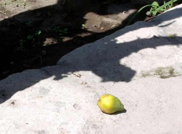 Zdjęcie z Peru - Arequipa - Sta Catalina