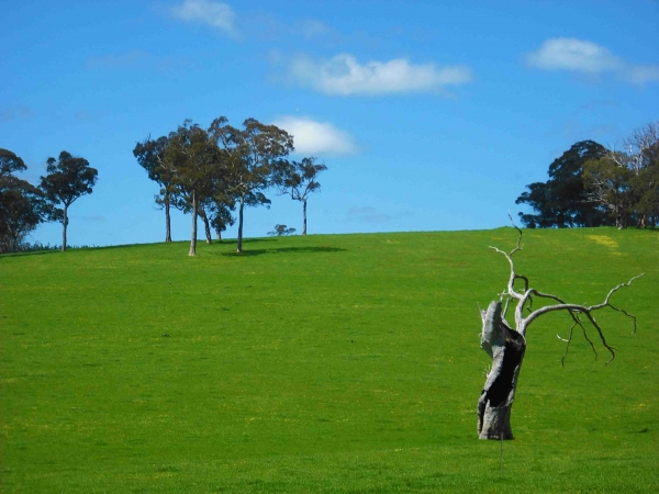 Zdjęcie z Australii - Okolice Meadows