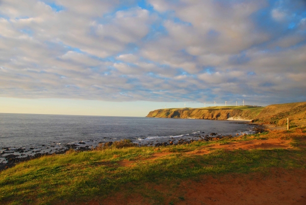 Zdjęcie z Australii - Przyladek Cape Jervis