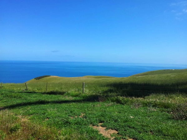 Zdjęcie z Australii - Przyladek Cape Jervis