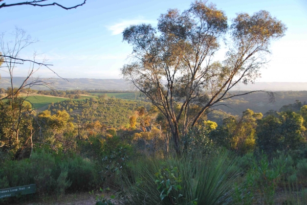 Zdjęcie z Australii - Rezerwat Onkaparinga