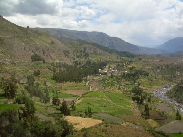 Zdjęcie z Peru - Kanion Colca