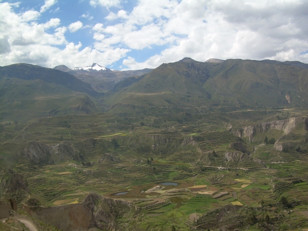 Zdjęcie z Peru - Kanion Colca