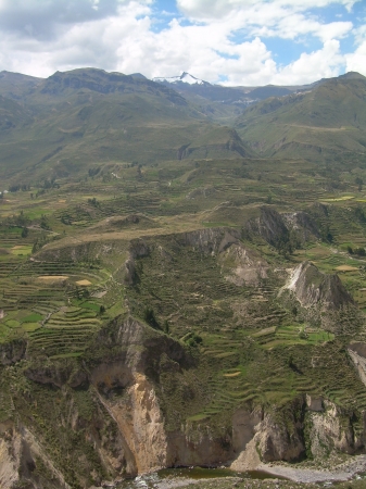 Zdjęcie z Peru - Kanion Colca