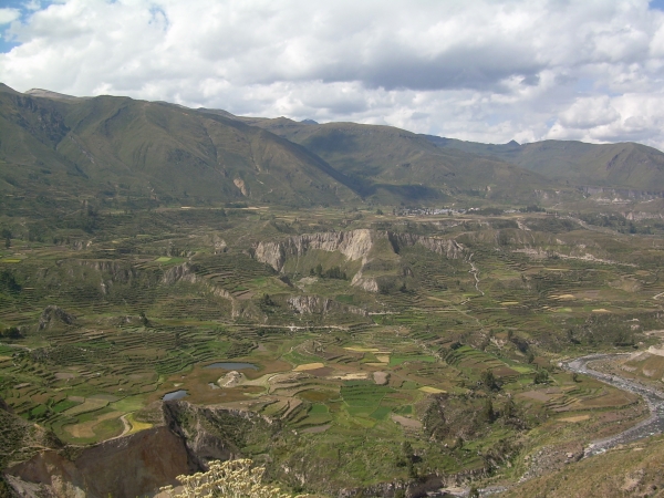 Zdjęcie z Peru - Kanion Colca