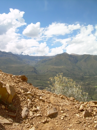 Zdjęcie z Peru - Kanion Colca