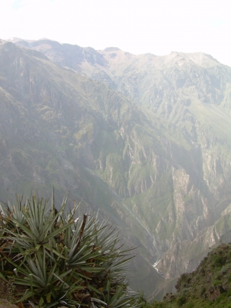 Zdjęcie z Peru - Kanion Colca