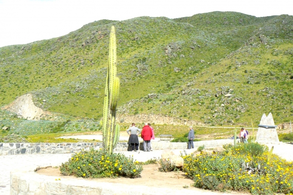 Zdjęcie z Peru - Kanion Colca