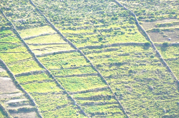 Zdjęcie z Peru - Chiway