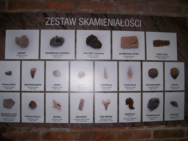 Zdjęcie z Polski - Zabrze - Guido