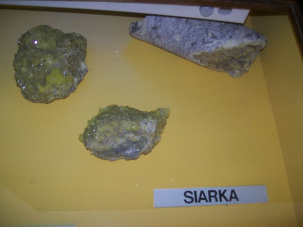 Zdjęcie z Polski - Zabrze Muzeum
