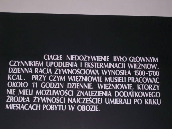 Zdjęcie z Polski - 