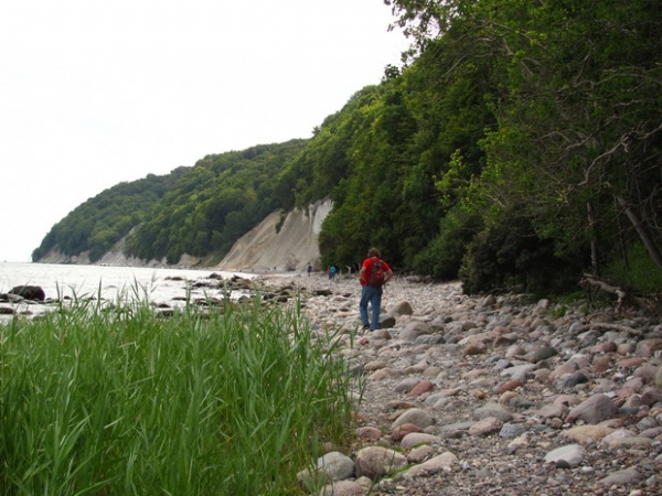 Zdjęcie z Niemiec - Plaża w Jasmund.