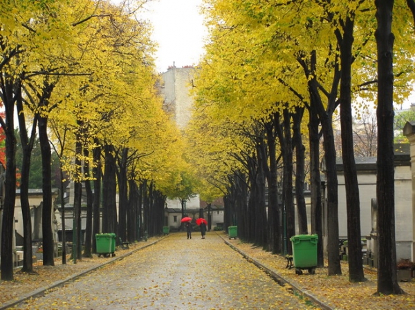 Zdjęcie z Francji - Cmentarz Montparnasse