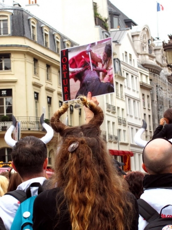 Zdjęcie z Francji - Paryscy demonstranci