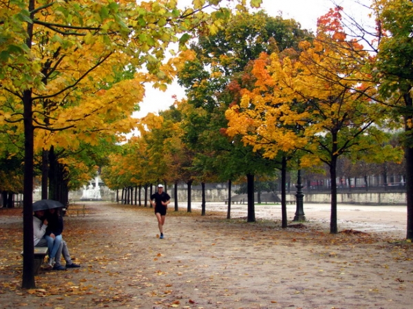 Zdjęcie z Francji - Ogrody Tuileries