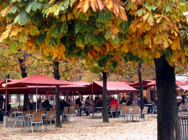 Zdjęcie z Francji - Ogrody Tuileries