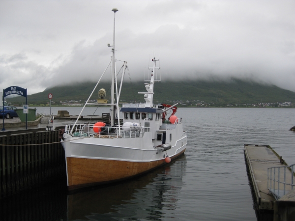 Zdjęcie z Norwegii - Sortland