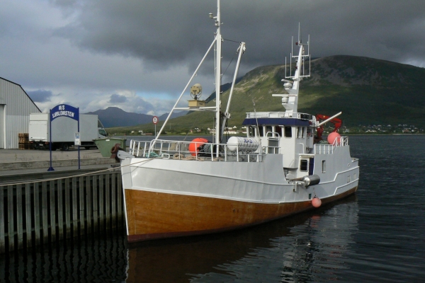 Zdjęcie z Norwegii - Sortland