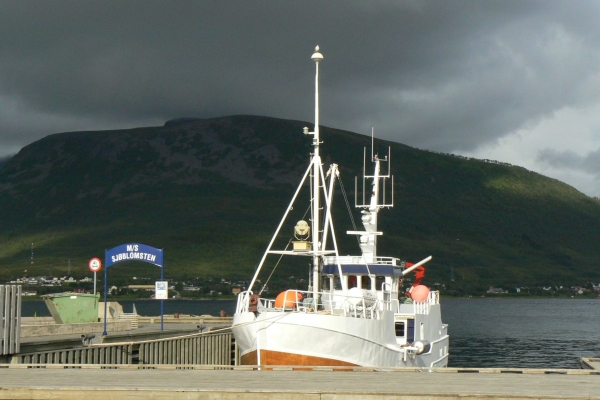 Zdjęcie z Norwegii - w Sortland