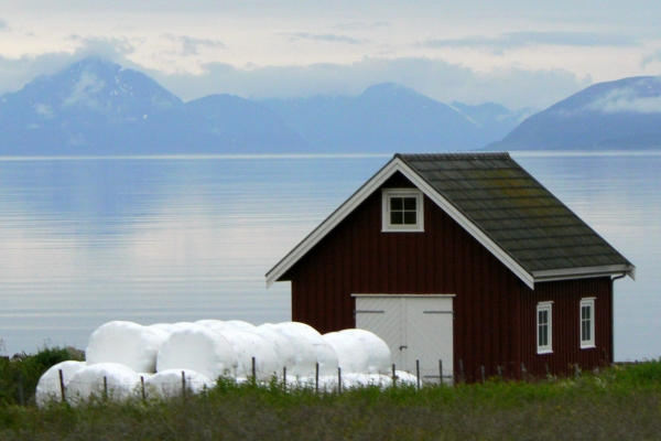 Zdjęcie z Norwegii - wyjazd z Sortland