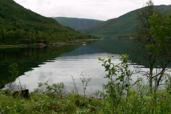 Zdjęcie z Norwegii - 
