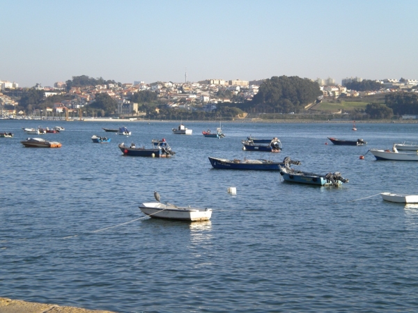 Zdjęcie z Portugalii - Porto