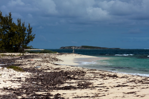 Zdjęcie z Brytyjskich Wysp Dziewiczych - GRAND TURK, Turks & Caico