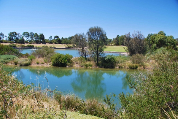 Zdjęcie z Australii - Thomdon Park Reserve