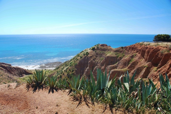 Zdjęcie z Australii - Dolph Waye Reserve