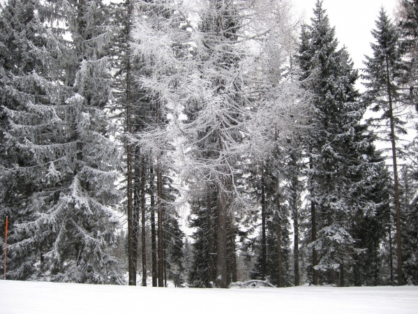 Zdjęcie z Austrii - Nassfeld