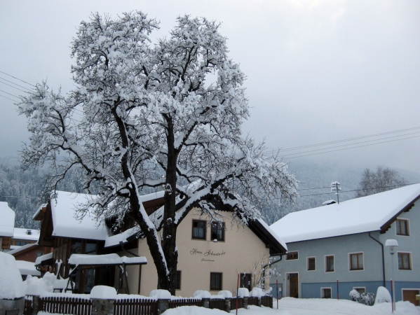 Zdjęcie z Austrii - Tropolach