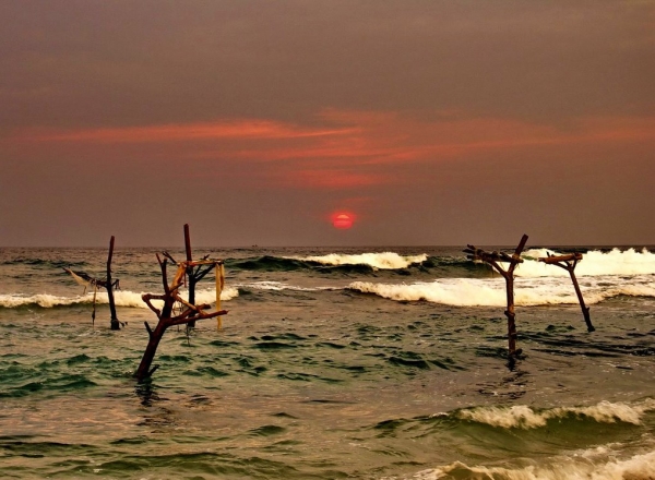 Zdjęcie ze Sri Lanki - 
