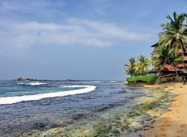 Zdjęcie ze Sri Lanki - 