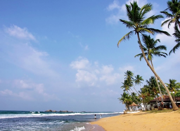 Zdjęcie ze Sri Lanki - 